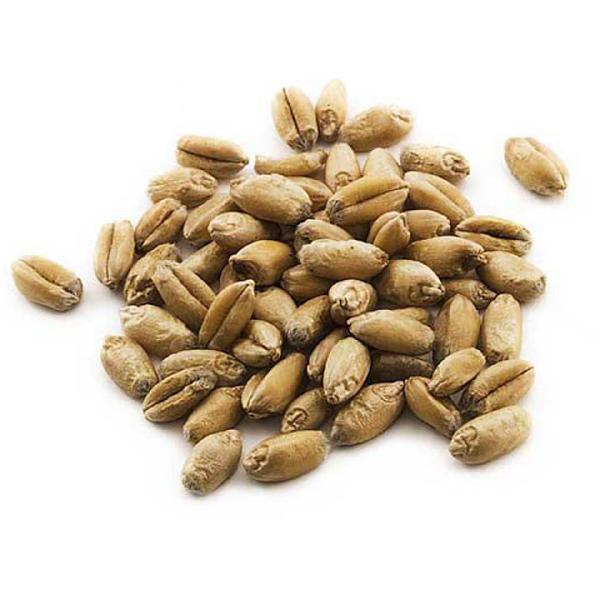 Пшеница для проращивания "Житница здоровья", 1 кг